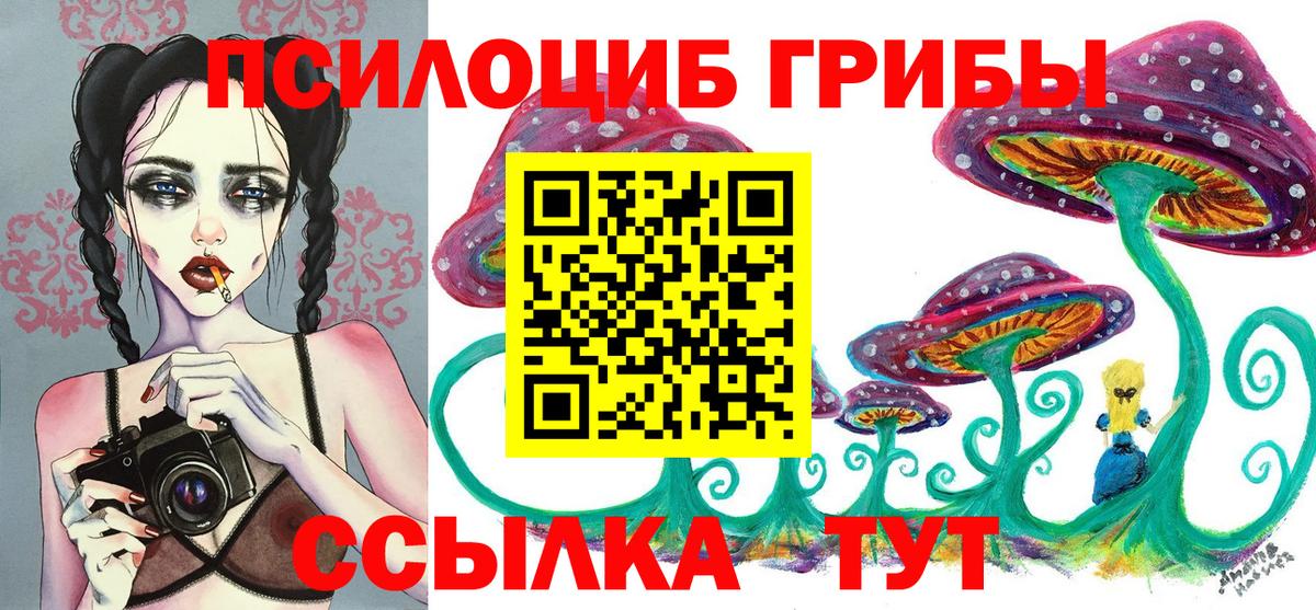 Псилоцибиновые грибы Psilocybine cubensis  Галлюциногенные грибы Magic Shrooms  Старая Купавна  Вход с VPN 