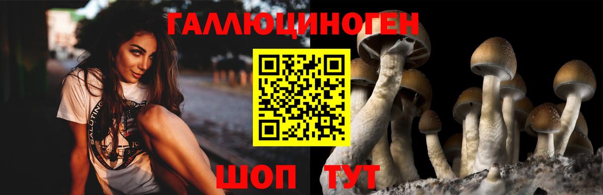 Псилоцибиновые грибы Magic Shrooms Старая Купавна